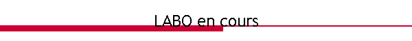 LABO en cours